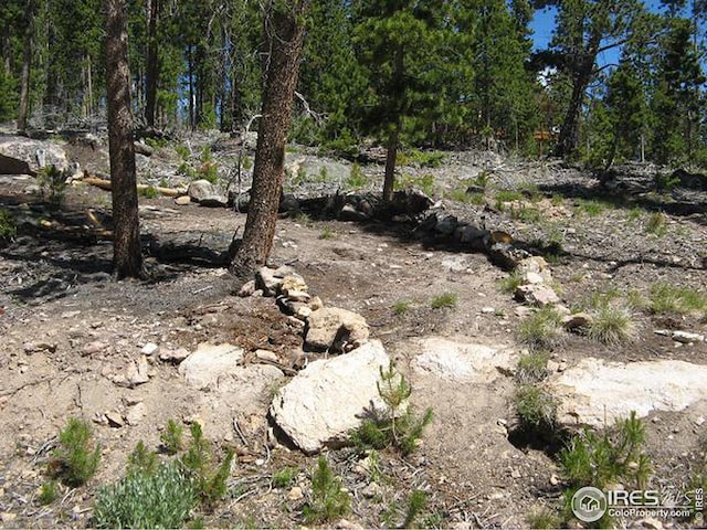 1244 Mosquito Dr, Red Feather Lakes, CO 80545