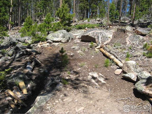 1244 Mosquito Dr, Red Feather Lakes, CO 80545