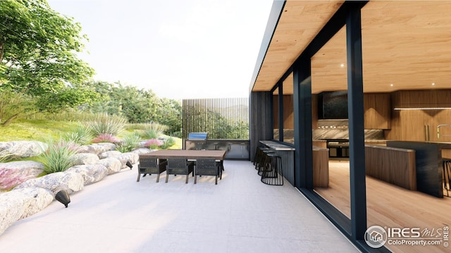 view of patio with outdoor dining space and exterior kitchen