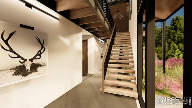 stairway featuring carpet flooring