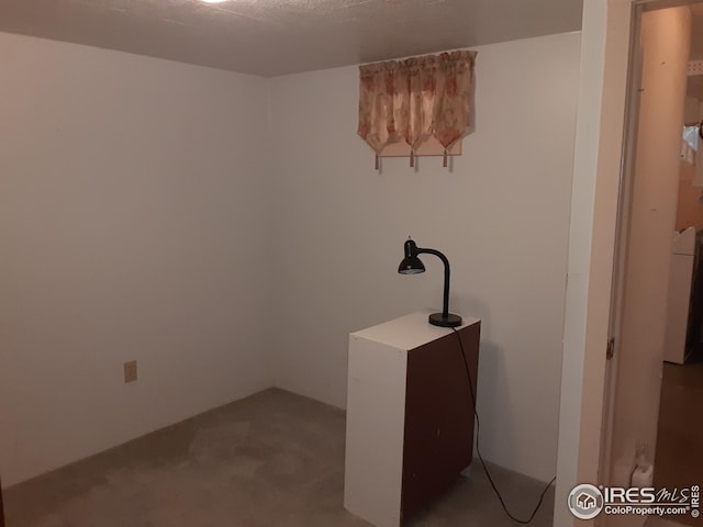 laundry area featuring carpet
