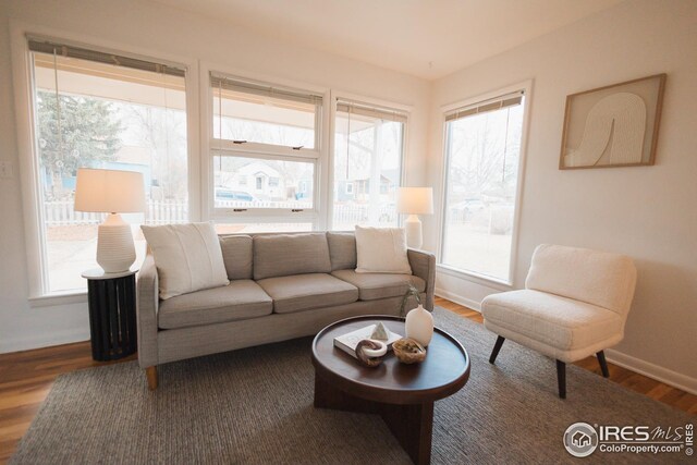 living area featuring baseboards and wood finished floors