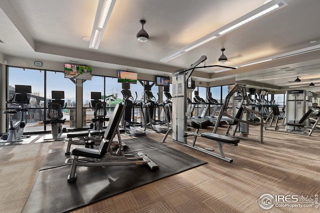 exercise room featuring carpet floors
