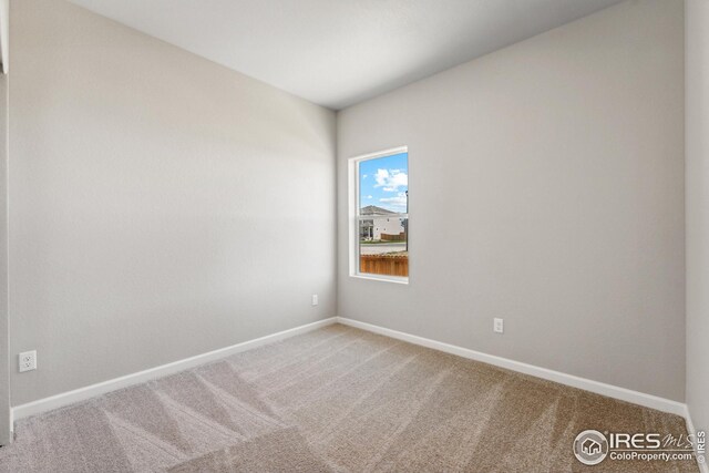 spare room with baseboards and carpet floors