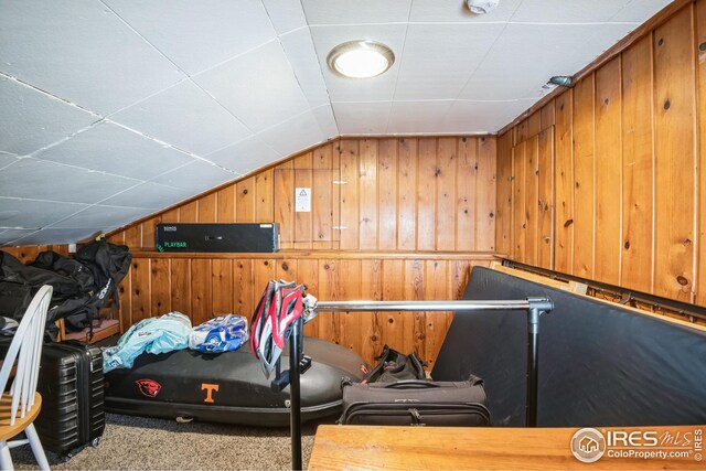 interior space featuring lofted ceiling and wooden walls