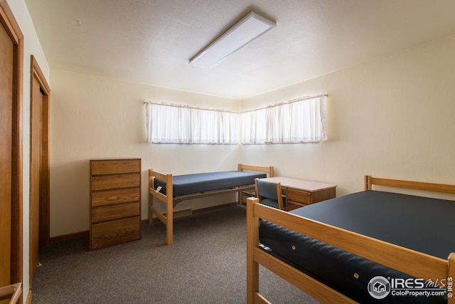 bedroom featuring carpet flooring
