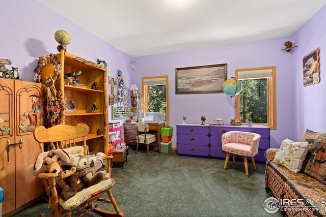 living area featuring plenty of natural light and carpet
