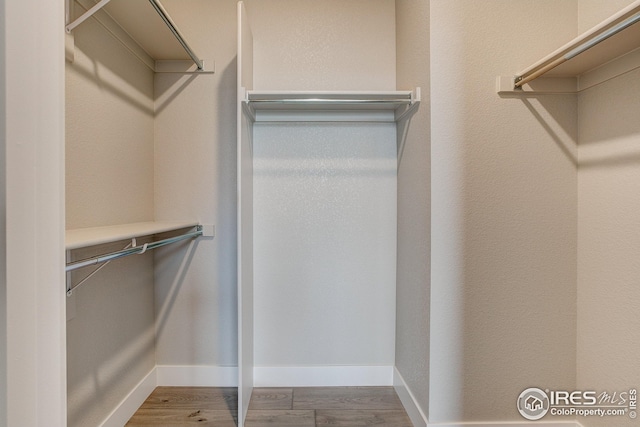 spacious closet featuring wood finished floors