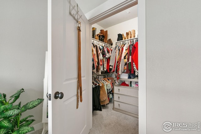 spacious closet with carpet