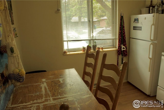dining room featuring wood finished floors