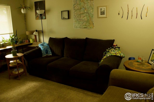 living area featuring carpet floors