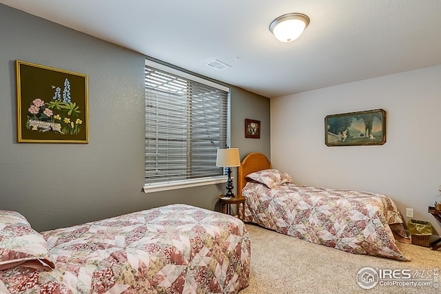 bedroom with carpet floors