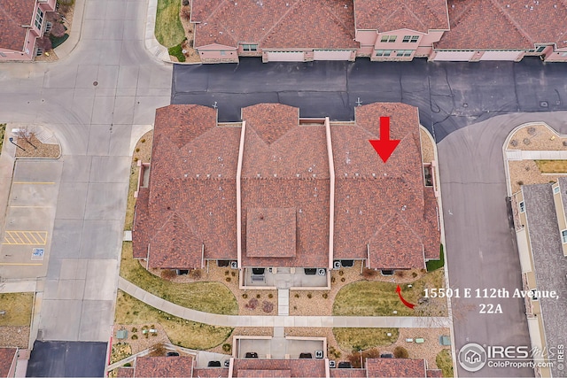 bird's eye view