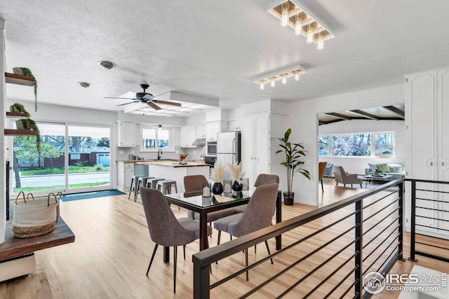 dining area featuring light wood-type flooring, a ceiling fan, and a textured ceiling