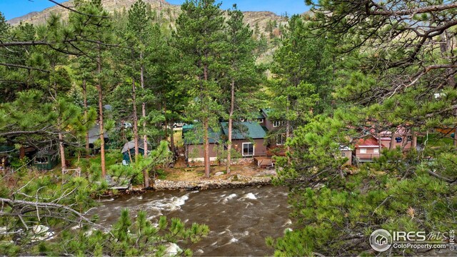 198 Poudre River Rd, Bellvue, CO 80512 - view of yard with a mountain view