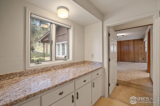 198 Poudre River Rd, Bellvue, CO 80512 - bathroom with wooden walls and vanity