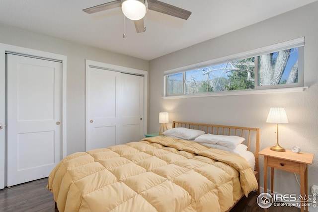 bedroom with two closets, ceiling fan, and wood finished floors