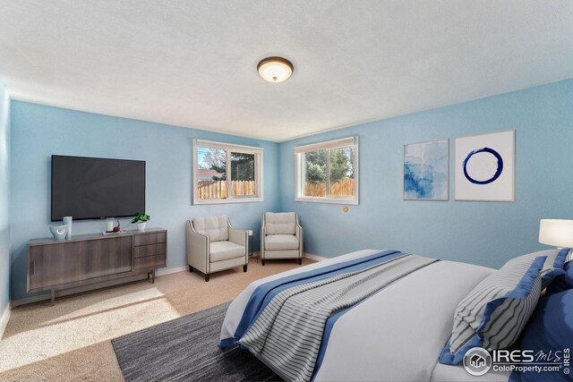 view of carpeted bedroom