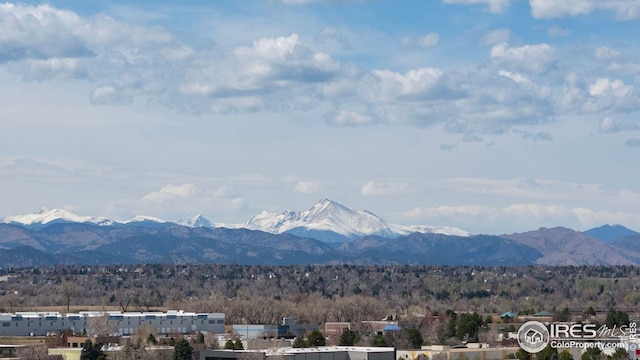 mountain view