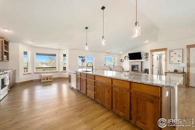 kitchen with a fireplace, light wood-style floors, dishwashing machine, and a healthy amount of sunlight