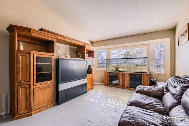 living area featuring lofted ceiling, a textured ceiling, and light carpet