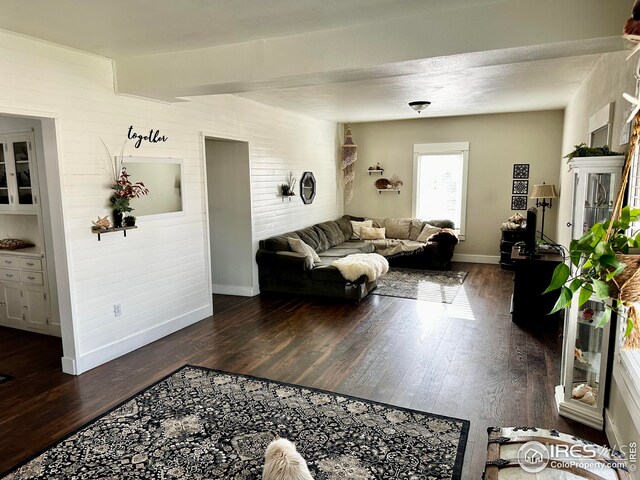 506 E 1st Ave, Otis, CO 80743 - living area featuring wooden walls, wood finished floors, and baseboards