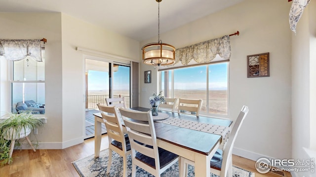 dining room with baseboards, a healthy amount of sunlight, wood finished floors, and a chandelier