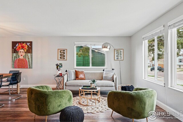 9601 Sierra Dr, Arvada, CO 80005 - living room with baseboards and dark wood-style flooring
