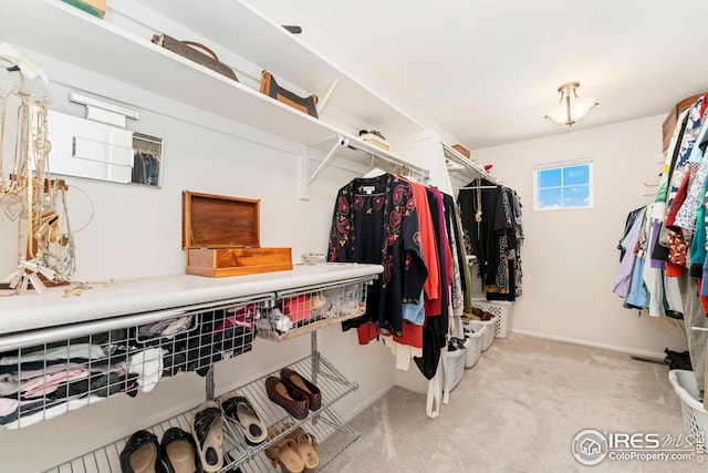 spacious closet with carpet
