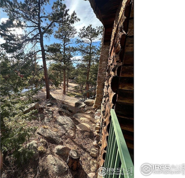 view of local wilderness