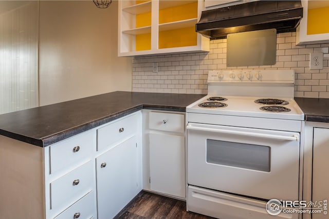 1733 Azalea Dr Unit 2, Fort Collins, CO 80526 - kitchen with a peninsula, ventilation hood, dark wood-style flooring, dark countertops, and electric stove