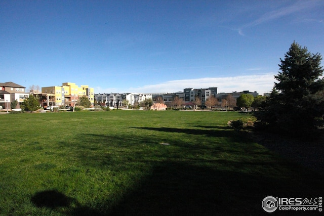 view of home's community featuring a yard