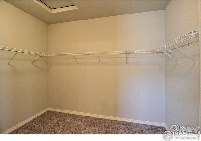 walk in closet with dark colored carpet