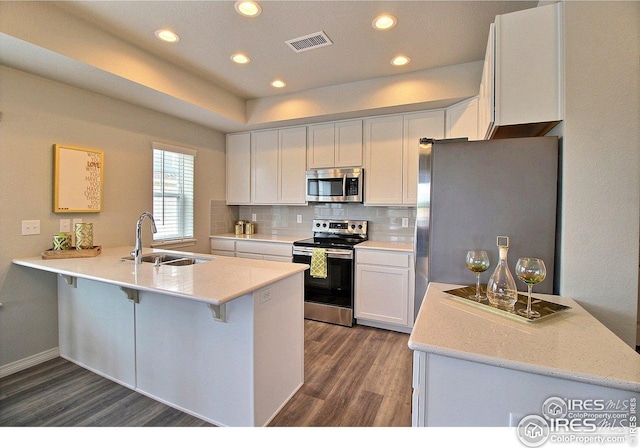 kitchen with visible vents, a sink, dark wood-type flooring, a peninsula, and appliances with stainless steel finishes