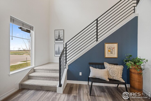 staircase with baseboards and wood finished floors