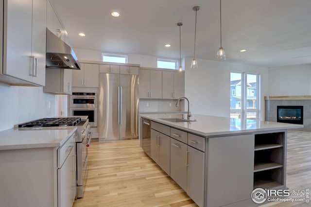 kitchen featuring light wood-style flooring, a sink, premium appliances, light countertops, and under cabinet range hood