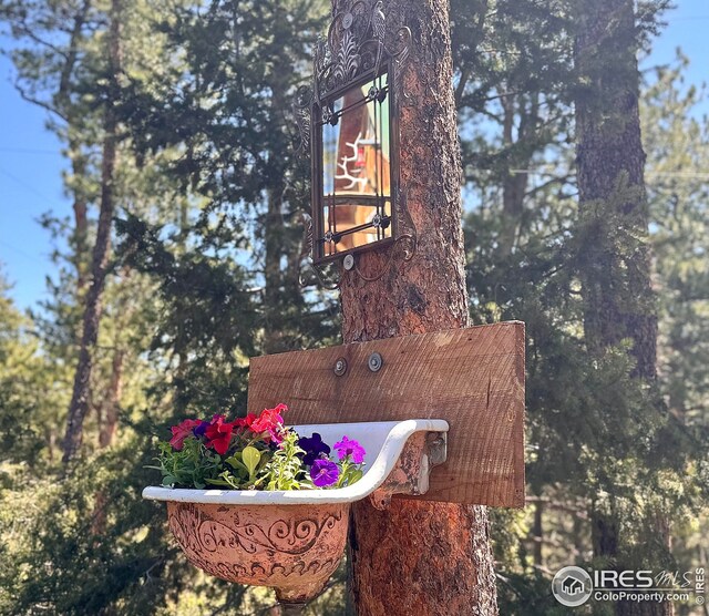 147 Cedar Dr, Lyons, CO 80540 - exterior view