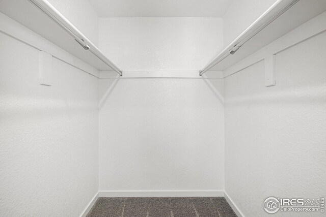 spacious closet featuring carpet flooring