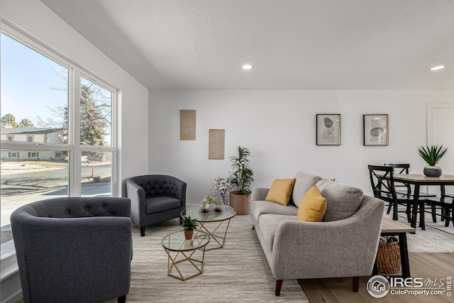 living area with wood finished floors and recessed lighting