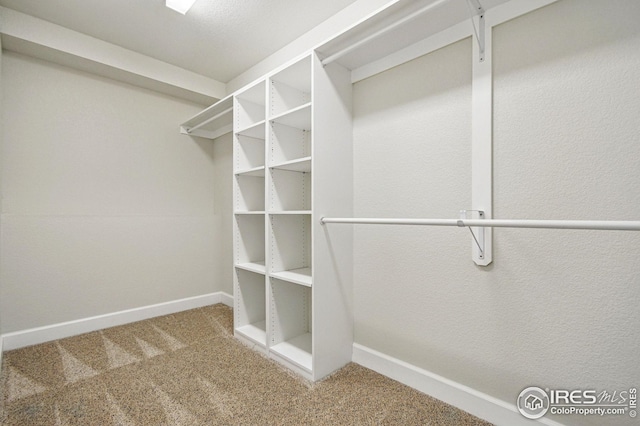 3122 Notabon Ct, Lafayette, CO 80026 - walk in closet featuring carpet floors