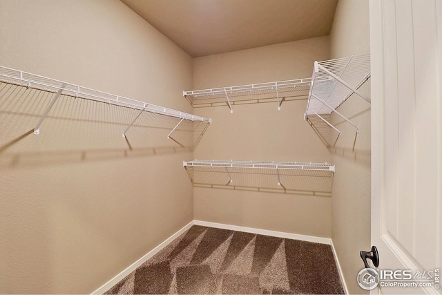 walk in closet with dark colored carpet