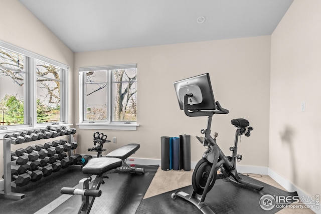 1533 Old Tale Rd, Boulder, CO 80303 - workout room with plenty of natural light, lofted ceiling, and carpet flooring