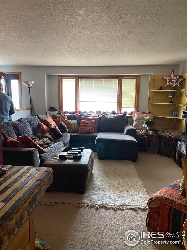 carpeted living room featuring a textured ceiling