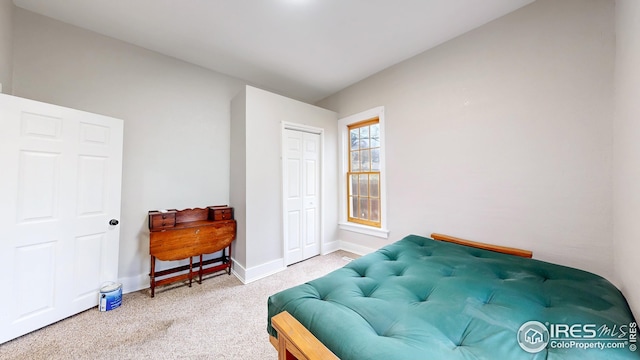 bedroom with a closet, carpet, and baseboards