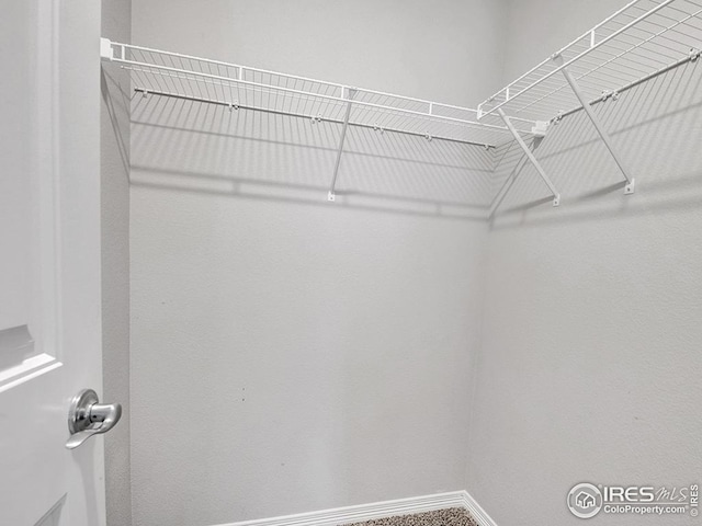 view of walk in closet