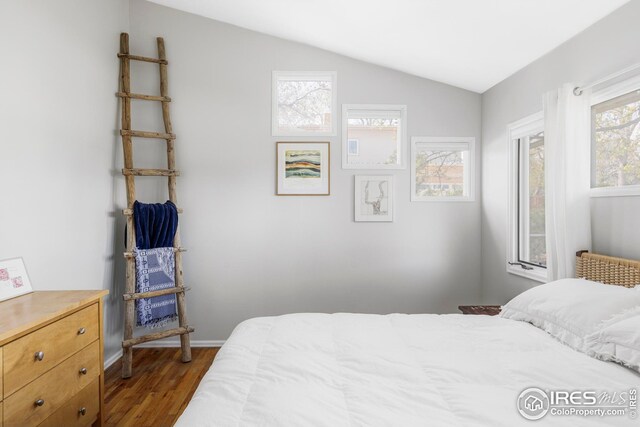 1891 Orchard Ave, Boulder, CO 80304 - bedroom featuring dark wood-style floors, vaulted ceiling, and baseboards
