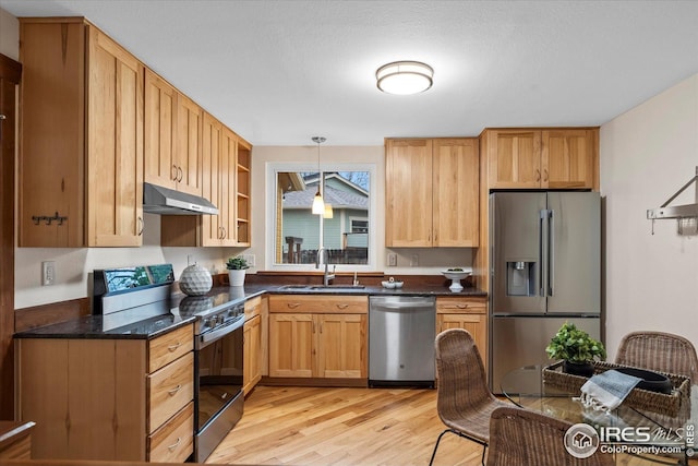 kitchen with light wood-style flooring, a sink, stainless steel appliances, under cabinet range hood, and decorative light fixtures