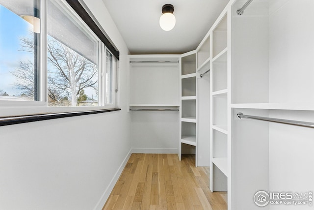 spacious closet featuring light wood-style flooring