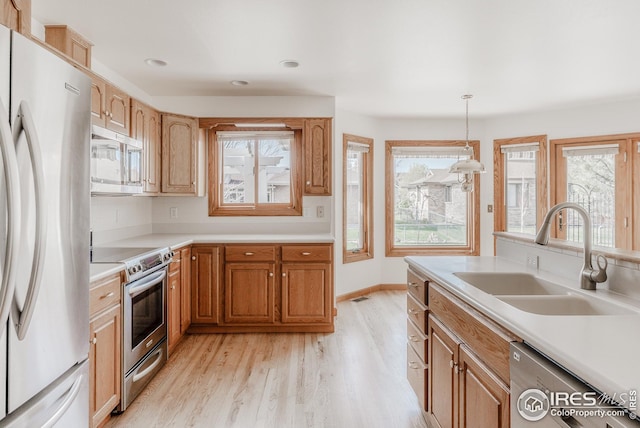 kitchen with a wealth of natural light, appliances with stainless steel finishes, light wood-style flooring, and a sink