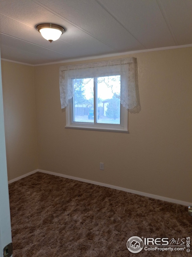 spare room featuring crown molding, carpet floors, and baseboards